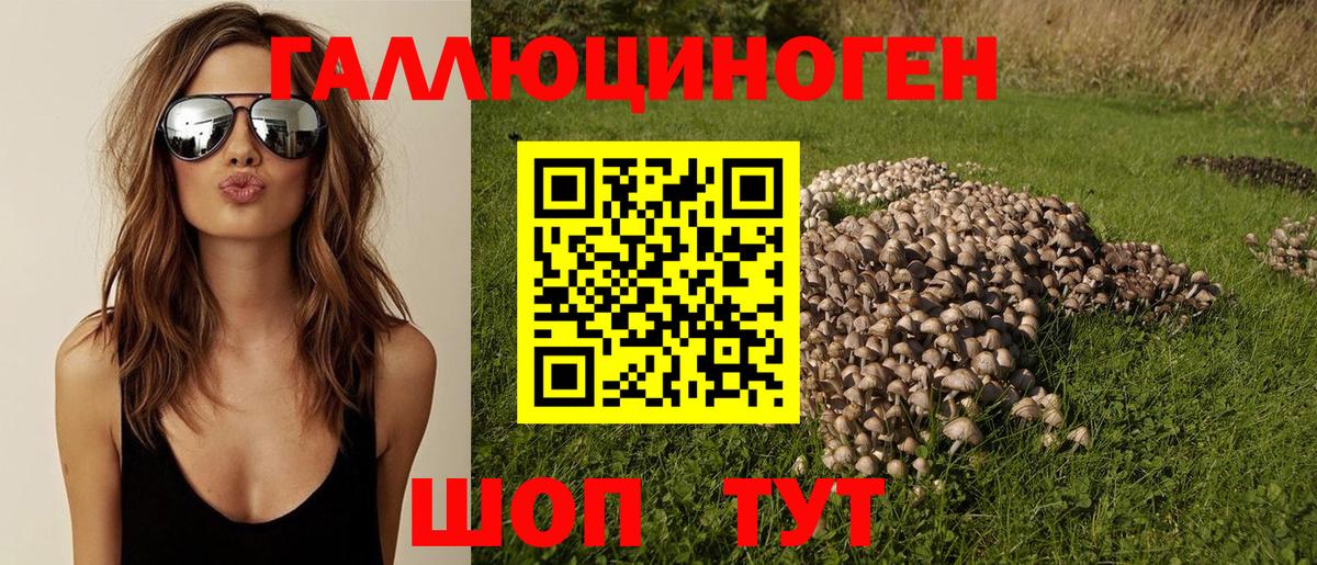 Псилоцибиновые грибы MAGIC MUSHROOMS  что такое   Кохма  Вход с VPN 