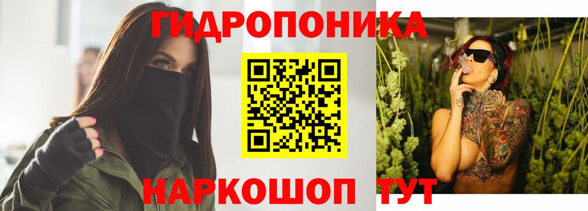 Марихуана SATIVA & INDICA  Вход с VPN  Кохма  Бошки Шишки конопля  МАРИХУАНА OG Kush 